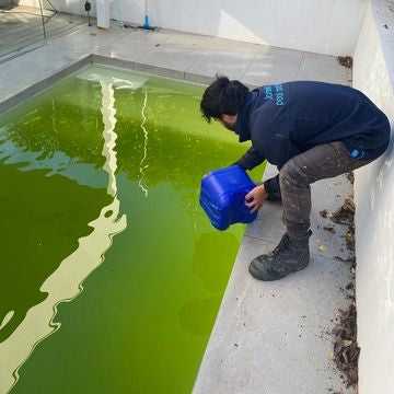 Green pool recovery treatment